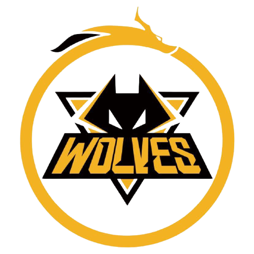 达到预期 达到预期